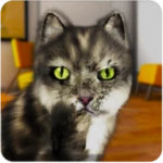 Logo of Talking Cat Funny android Application 