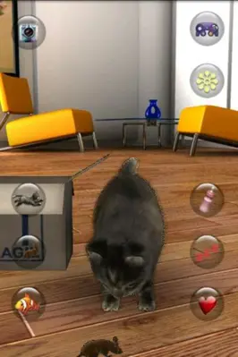 Talking Cat Funny android App screenshot 1